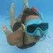 Bestway: Aqua Prime Essential™ Set da snorkeling con maschera e boccaglio, disponibile in diversi colori