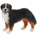 Bianca il cucciolo di cane da montagna bernese - Bullyland
