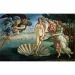 Botticelli: La nascita di Venere Museo HQC puzzle 2000 pezzi - Clementoni