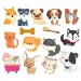 Buddy&amp;Barney: Set adesivo per piastrelle che cambia colore - Impronte fangose