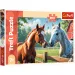 Cavalli nella radura puzzle da 200 pezzi - Trefl