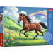 Cavallo Splendido puzzle da 200 pezzi – Trefl