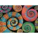 Colorboom: Puzzle Camaleonti 500 pezzi - Clementoni