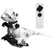 Come addestrare il tuo dinosauro! Dinosauro robot telecomandato