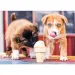 Cuccioli di cane con gelato puzzle premium da 500 pezzi - Trefl