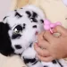 Cucciolo Interattivo Baby Zampe - Dalmatian