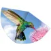 Deltaplano colibrì