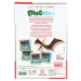 Dinótéka gioco da tavolo educativo