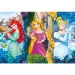 Disney+Principesse Maxi puzzle 60 pezzi - Clementoni