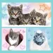 Dolci micetti 3 in 1 puzzle - Trefl