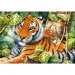 Due tigri puzzle da 1500 pezzi - Trefl