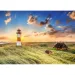 Faro di Listi puzzle 1000 pezzi Premium Plus Quality - Trefl