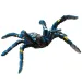 Figura di gioco tarantola blu