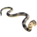 Figura di serpente cobra - Bullyland