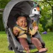 Fisher Price: Adorabile tucano volante peluche per bambini - Mattel
