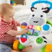Fisher-Price: Zebra Primi Passi - Mattel