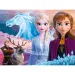 Frozen 2: Il coraggio delle sorelle puzzle 30 pezzi - Trefl