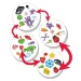 Gioco da tavolo Dobble