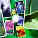 Gioco da tavolo Mysterium