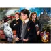 Harry Potter - Alla porta di Hogwarts puzzle da 1000 pezzi con poster - Clementoni