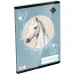 ICO: LizzySuli Wild Beauty Sport Club quaderno a fogli bianchi A/5 20-32