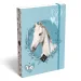 ICO: Lizzysuli Wild Beauty Sport Club scatola porta quaderni a fantasia A5