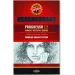 ICO: Matita in grafite Progresso 8911/4B 12 pezzi Koh-I-Noor