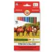 ICO: Set di matite colorate triangolari spesse KOH-I-NOOR