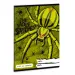 Il quaderno di vocabolario Wolf Spider A/5