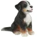 Joy il cucciolo di cane bovaro bernese - Bullyland