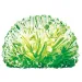 Kit di crescita di cristalli luminosi 4M