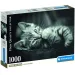 Kitty gattino HQC puzzle da 1000 pezzi - Clementoni