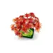 LEGO® Botanica: Bonsai di acero giapponese a foglia rossa (10348)