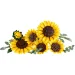 LEGO® Botanicals: Bouquet di girasoli (11502) immagine 2