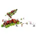 LEGO® DREAMZzz: L’auto spray di Mateo (71499)