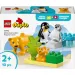 LEGO® DUPLO®: Famiglie di animali nel mondo selvaggio: Pinguini e leoni (10442)