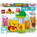 LEGO® DUPLO®: La festa di compleanno di Winnie the Pooh (10457)