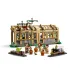 LEGO® Harry Potter: Castello di Hogwarts™: Lezione di Erbologia (76445)