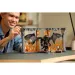 LEGO® Icons: Angolo lettura: Il Signore degli Anelli: Balrog™ (10367)