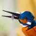 LEGO® Icons: Martin Pescatore (10331)