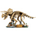 LEGO® Jurassic World™: Resti di dinosauri: Triceratops (77985)