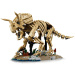LEGO® Jurassic World™: Resti di dinosauri: Triceratops (77985)