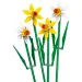 LEGO®: Narcisi (40747)