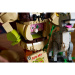 LEGO®: Shrek, Ciuchino e il Gatto con gli Stivali (72423)