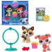Littlest Pet Shop: Petfluencers cuccioli set di 2 figure - Jump and joy serie 2