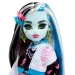 Monster High™: Frankie Stein bambola con animaletto e accessori - Mattel