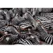 National Geographic - Puzzle 1000 pezzi Zebre - Clementoni