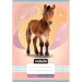 Nebulo: Quaderno a righe per la 2ª classe A5 16-32 con animali - Cavalli