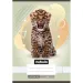 Nebulo: Quaderno cucito semplice A5 20-32 Animali - Leopardo