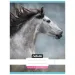 Nebulo: Quaderno liscio A4 grigio con cavallo, 80-32